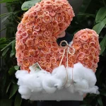 Hộp hoa đa size 11